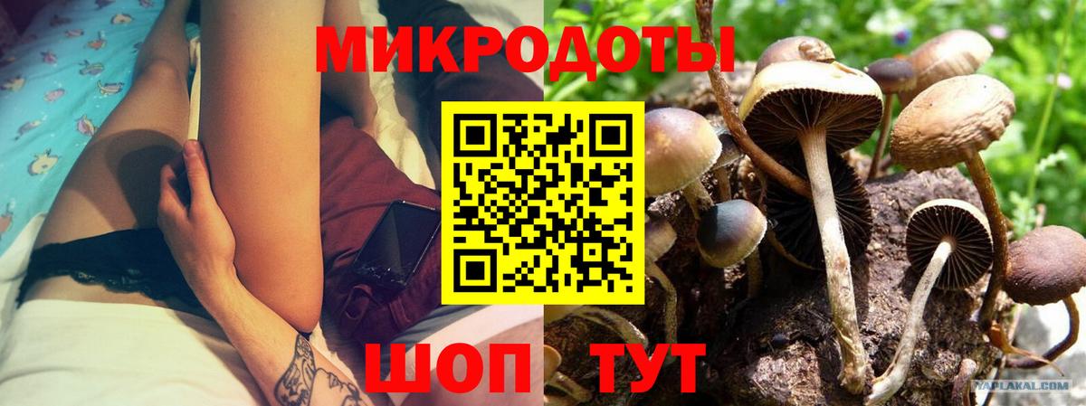 где можно купить   Псилоцибиновые грибы мухоморы  Вход с VPN  Дмитров 