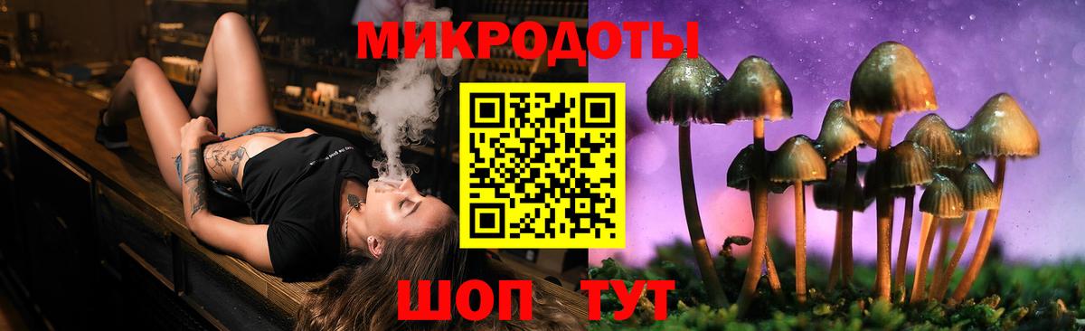 Псилоцибиновые грибы Cubensis Дмитров